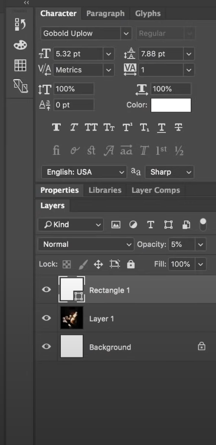 Adobe InDesign Software - Adobe InDesign character options