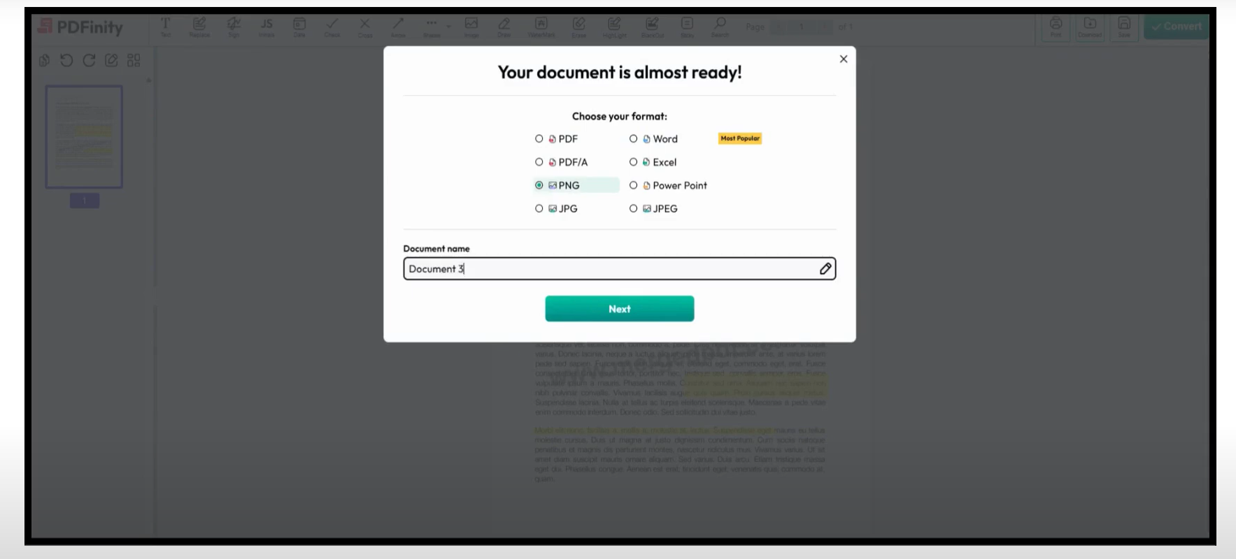 PDFinity screenshot: PDFinity choose document format