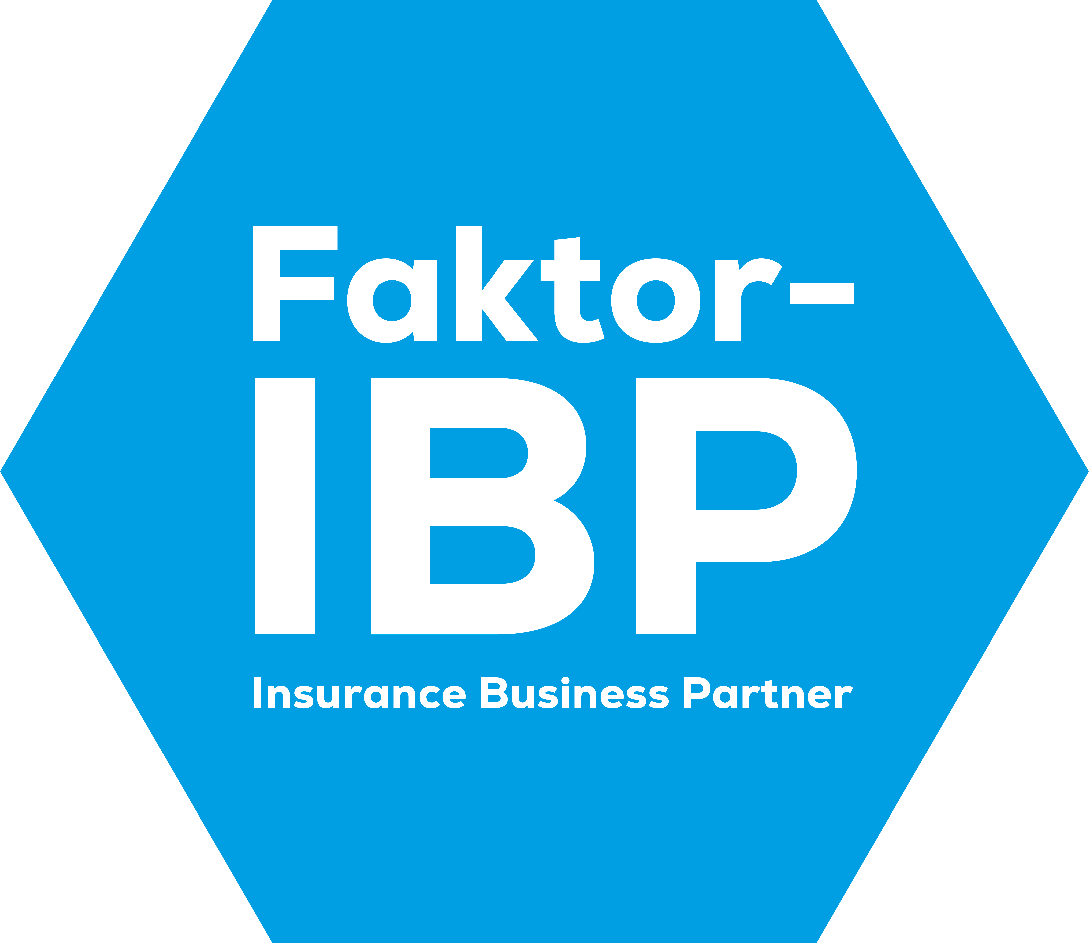 Faktor-IBP Software - 1