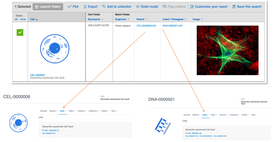 CDD Vault Software - 4