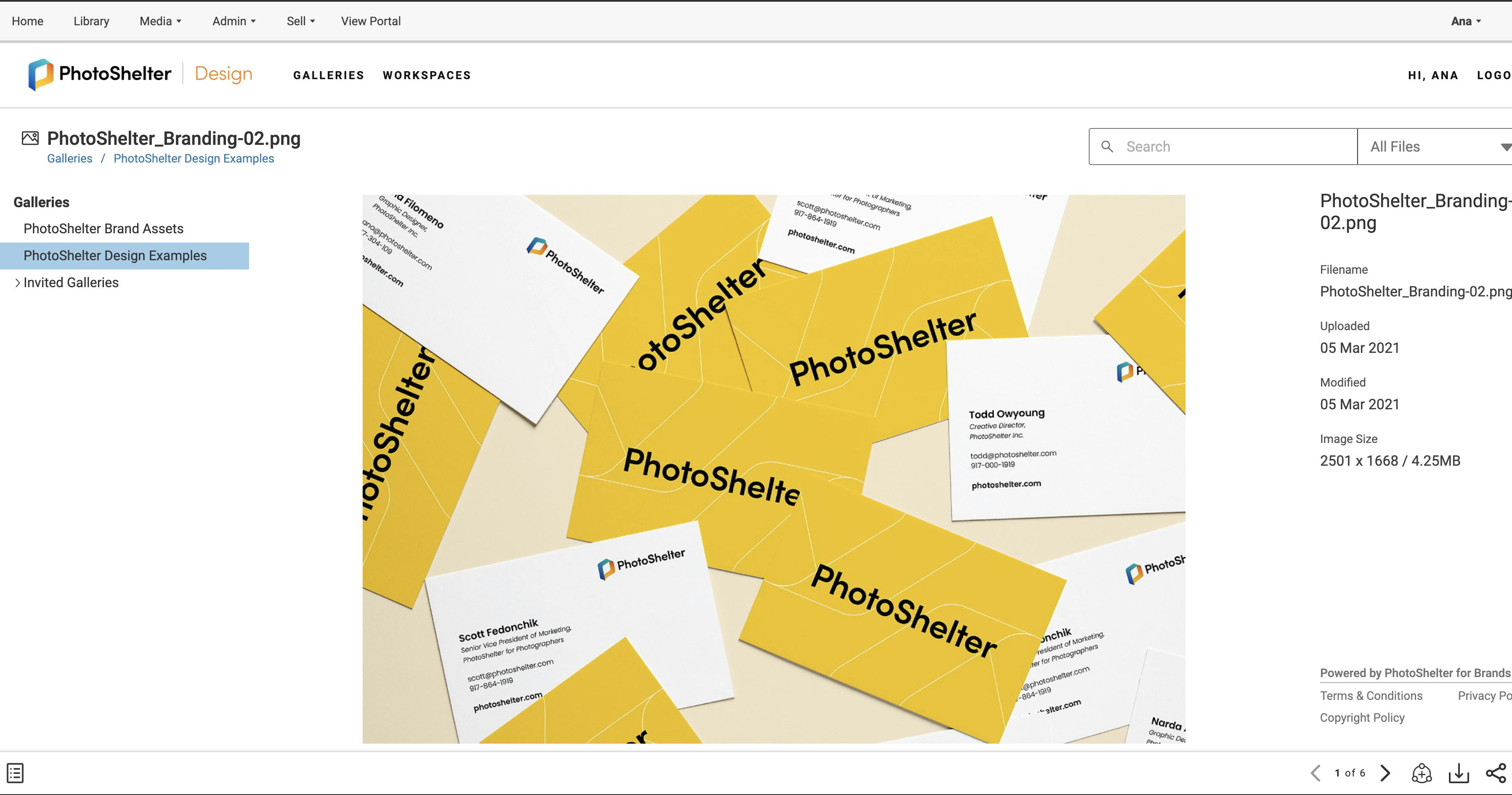 PhotoShelter for Brands Software - Member Galleries