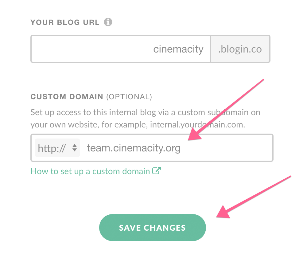 BlogIn custom domain