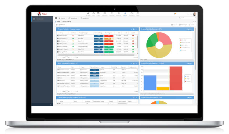 Hydra Software - Reports & dashboards provide users with insight into metrics such as project progress, risks, portfolios, and more