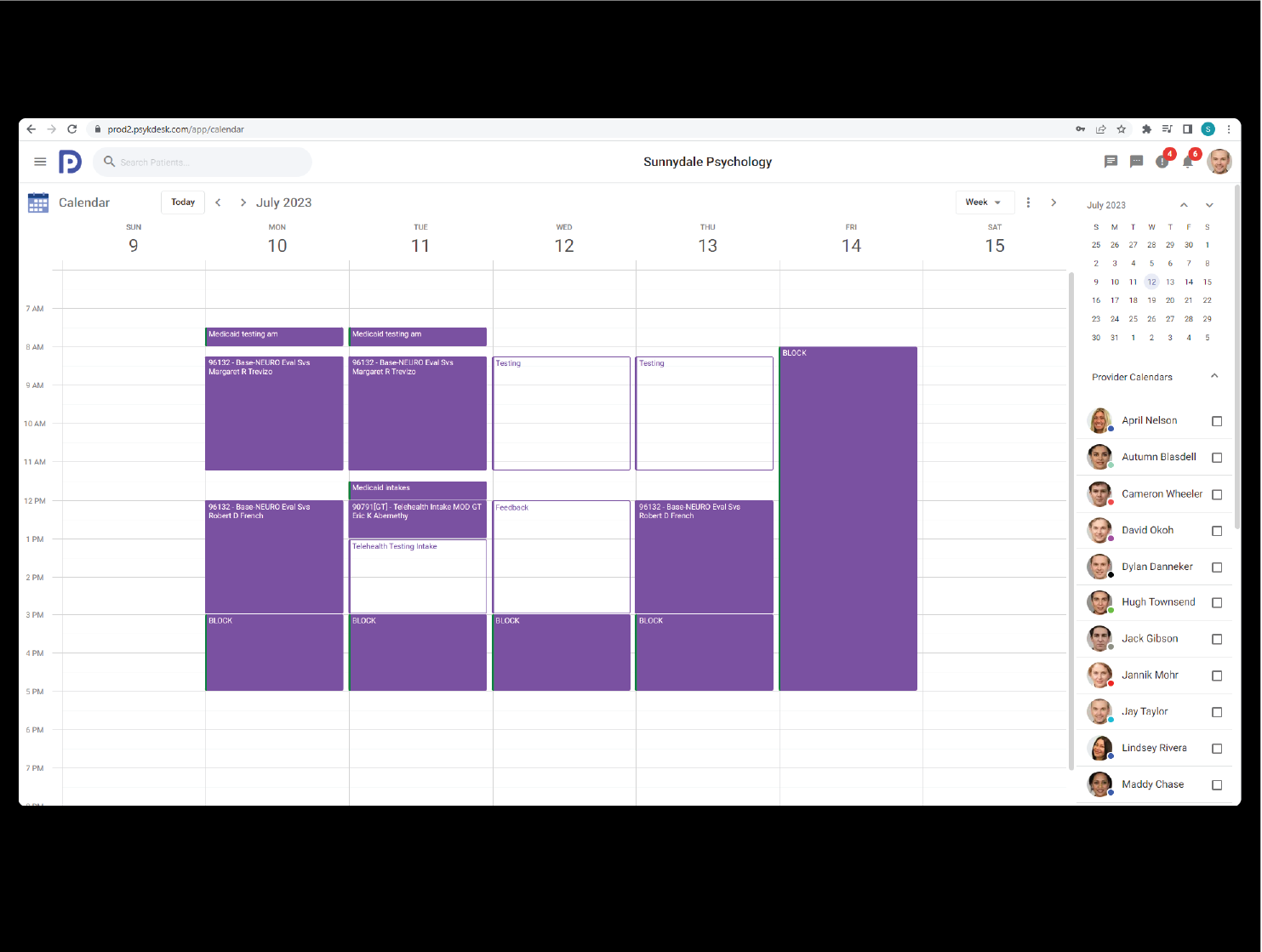 Psykdesk screenshot: Calendar
