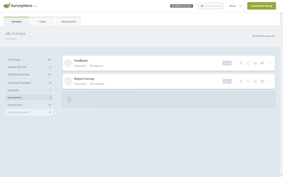 SurveyHero screenshot: SurveyHero surveys overview