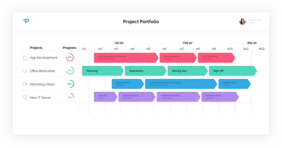 Project Portfolio View