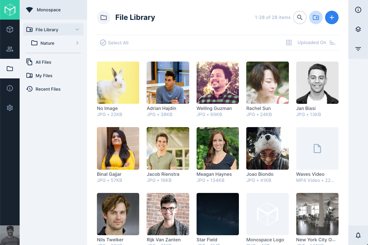 Directus Software - File Library