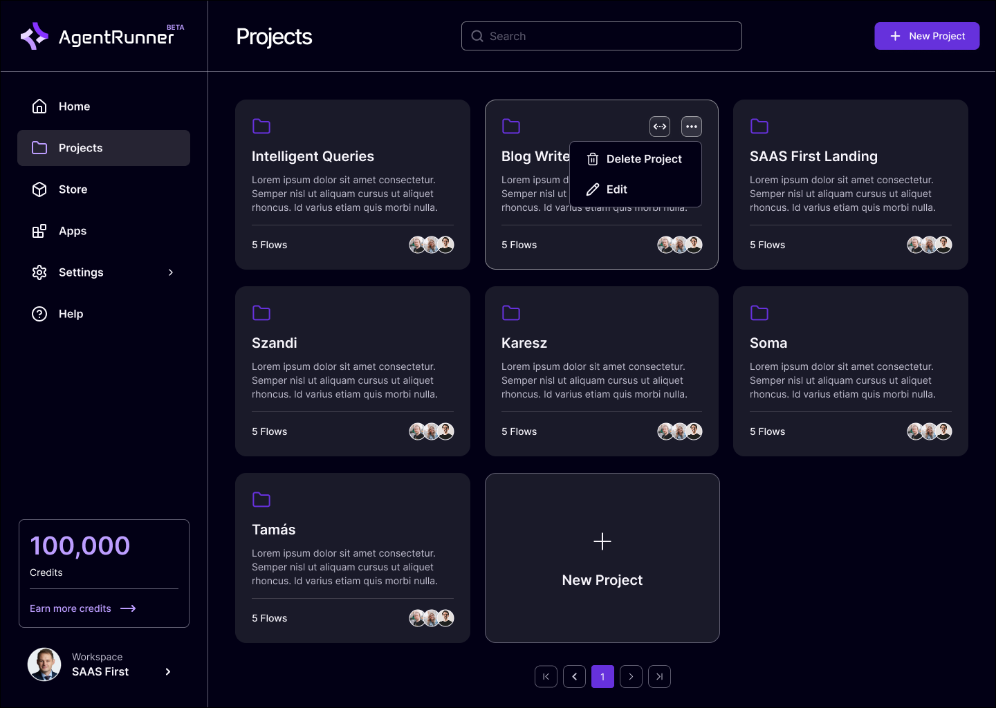 AgentRunner Software - AgentRunner project view