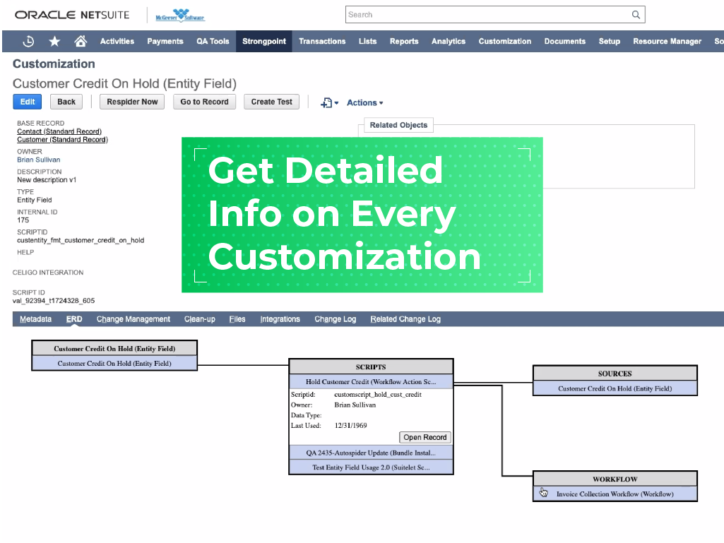 Netwrix Platform Governance screenshot: Strongpoint customization information 