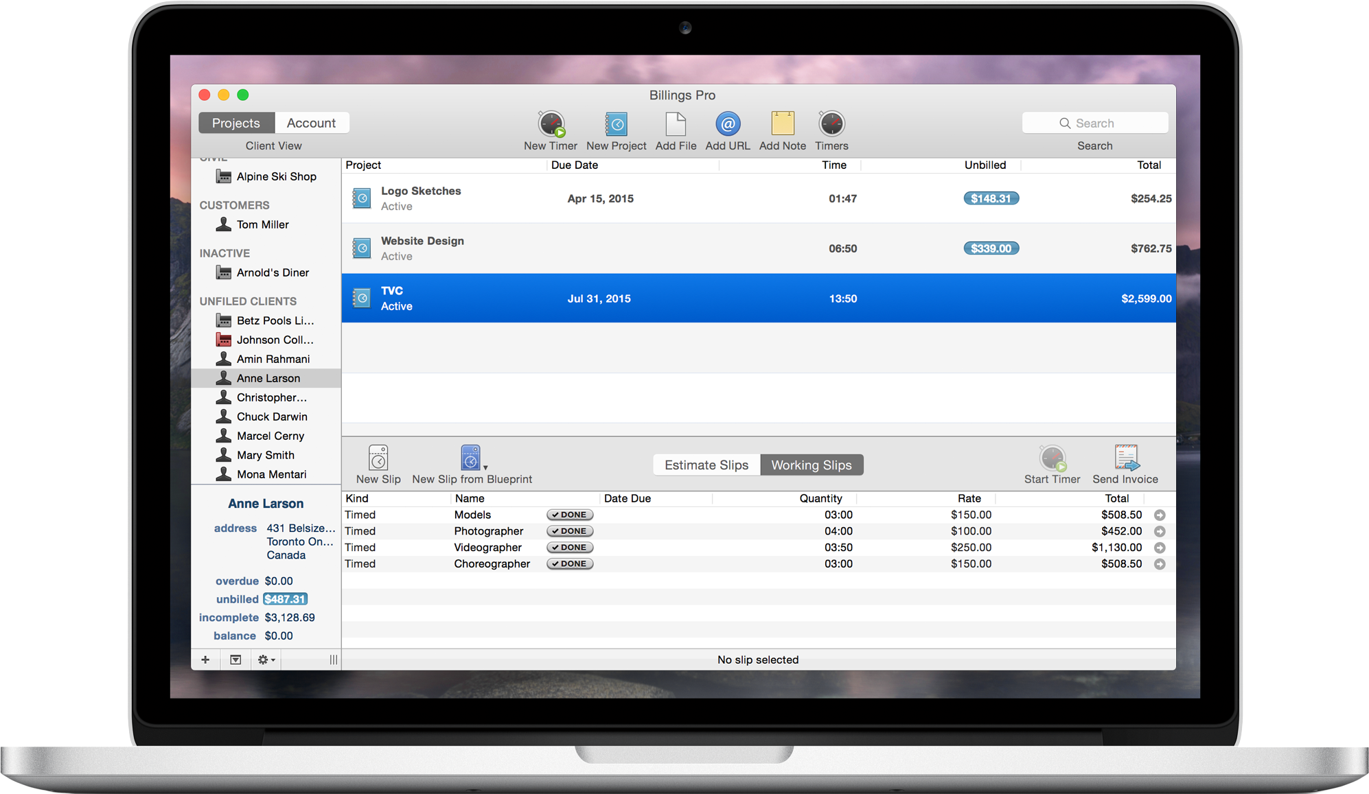 Billings Pro screenshot: Viewing a project on the Mac