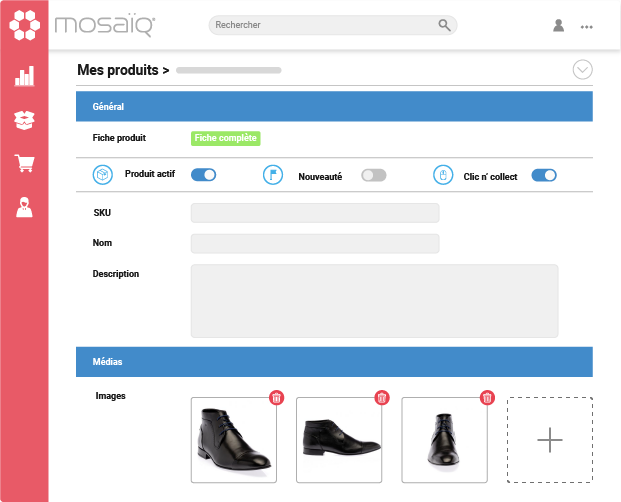 Mosaïq Software - 1