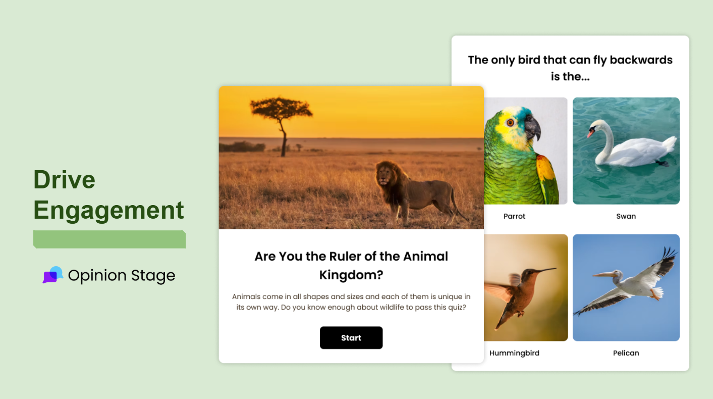 Opinion Stage screenshot: Capture attention and boost participation with fun, shareable items that keep your audience engaged.