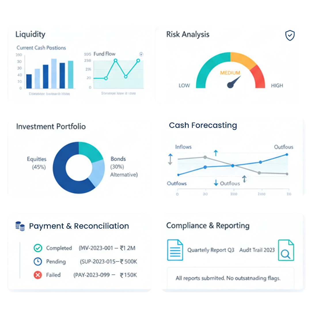 Treasury Management Software screenshot: Treasury Management Software dashboard