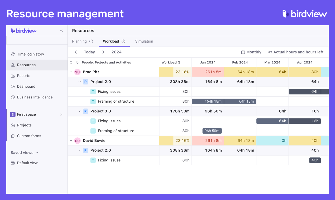 Birdview Software - Resource Management