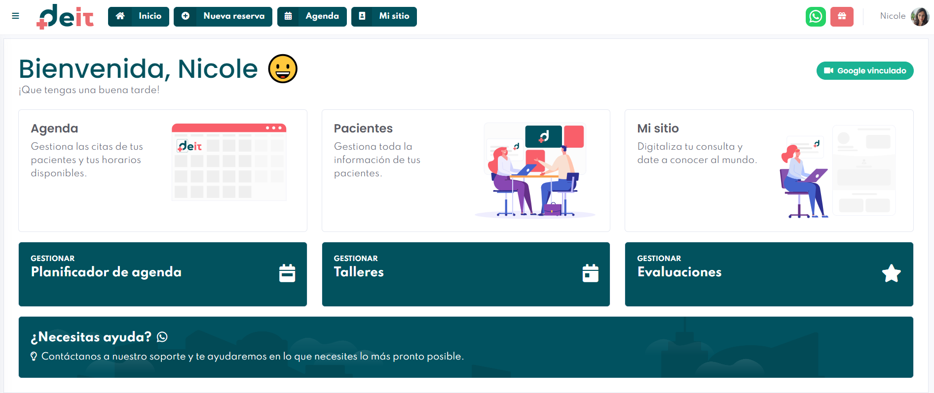 Deit screenshot: Home screen on Deit for health professionals, where they will manage schedules, patients, websites, among others