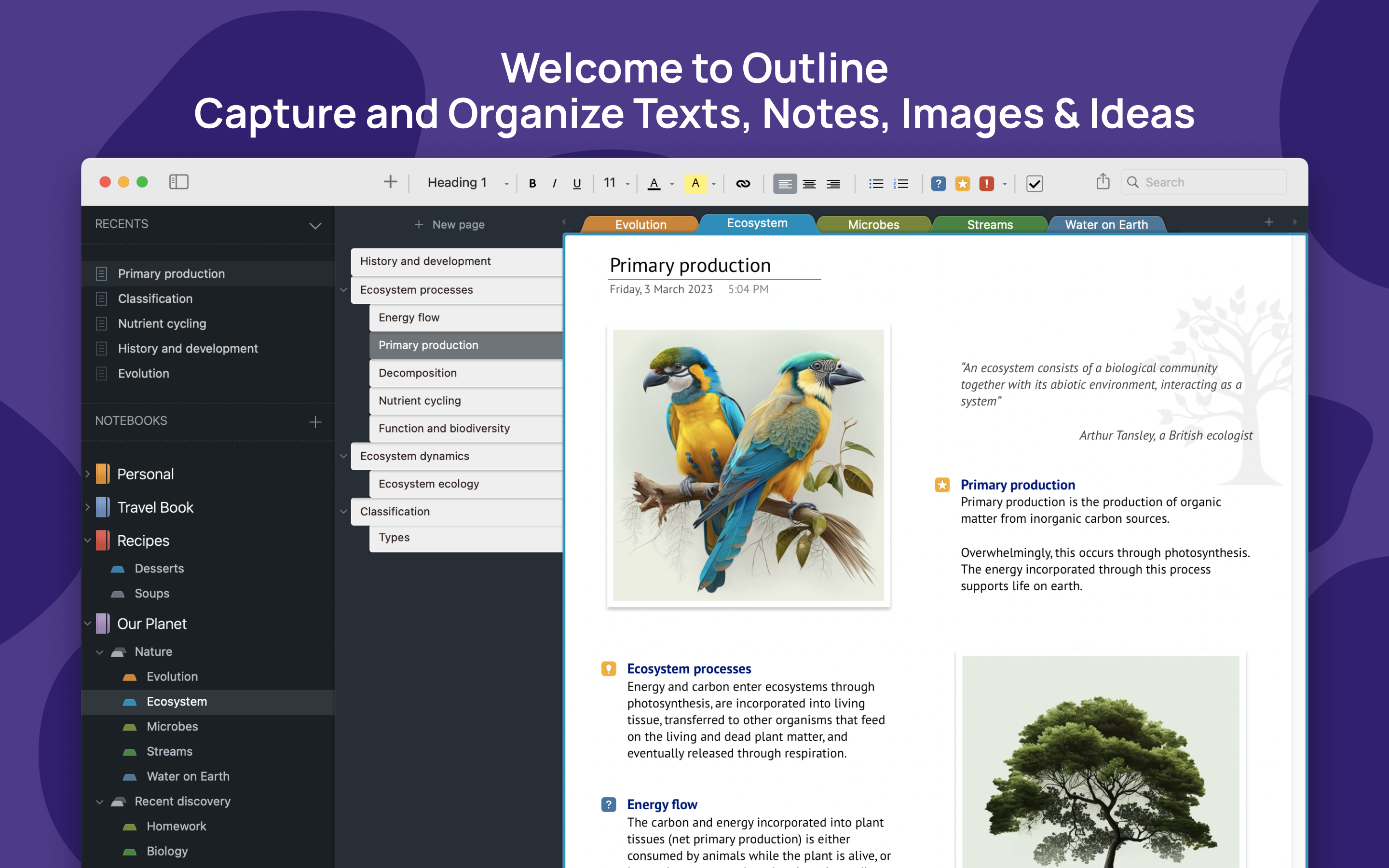 Capture and Organize Texts, Notes, Images & Ideas