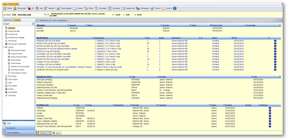 MDsuite EHR screenshot: MDsuite EHR patient charts