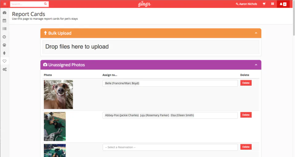 Bulk Upload and Tag Pics