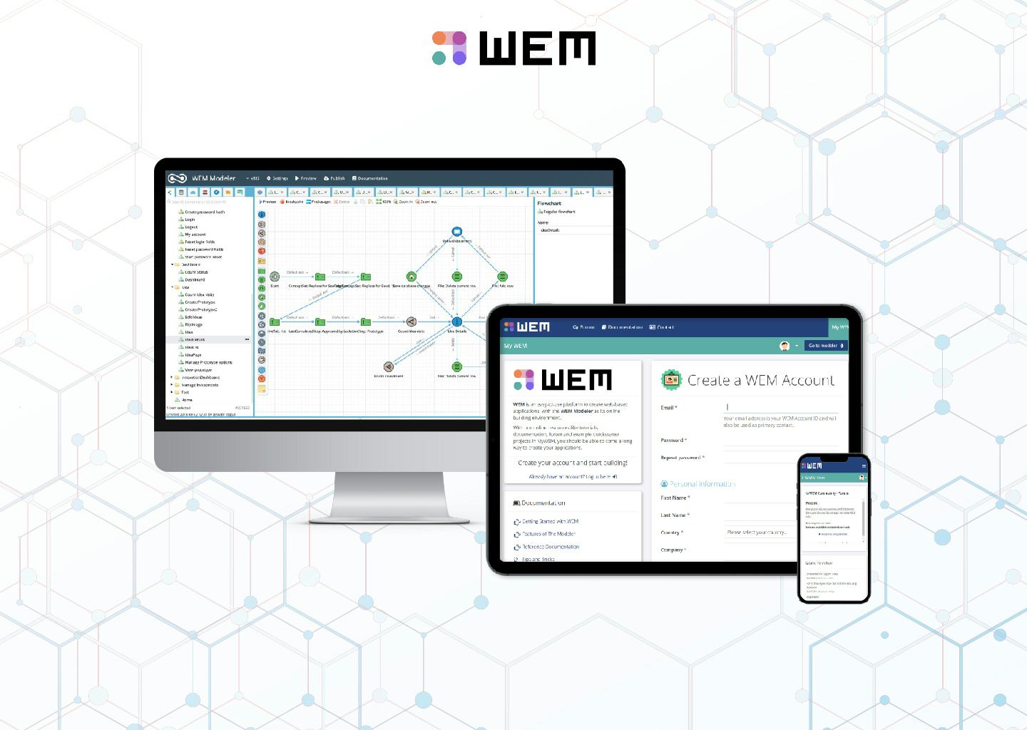 WEM 소프트웨어 - 1