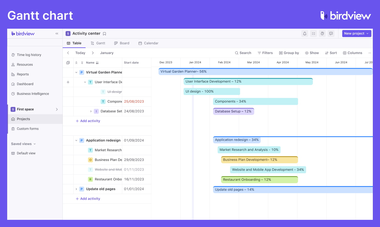 Birdview Software - Gantt Chart