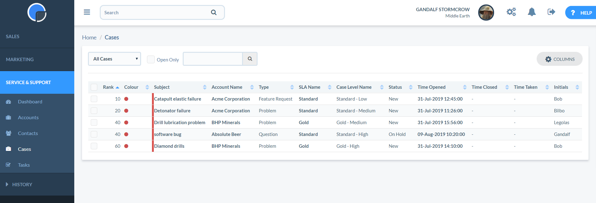 Really Simple Systems cases view