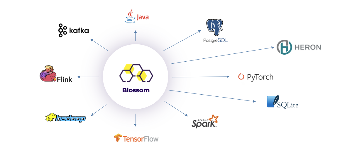 Blossom Federated AI Platform Software - 2