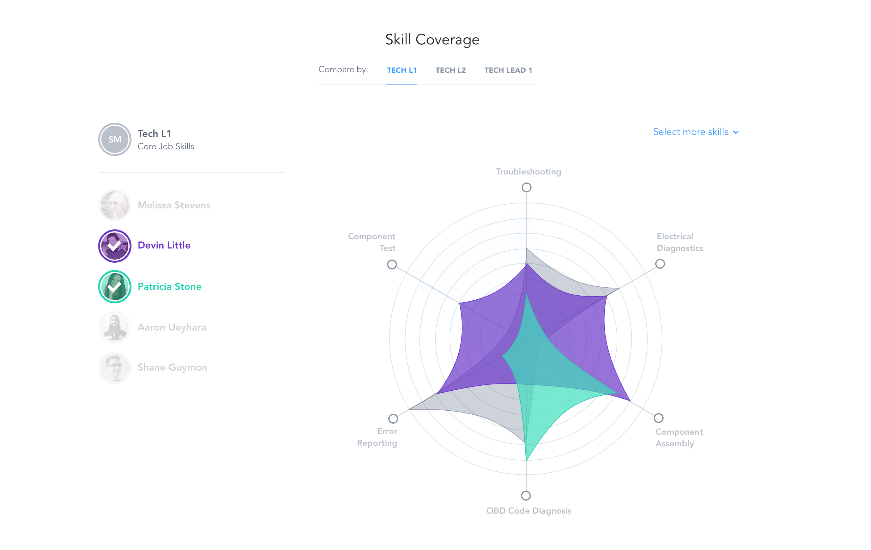 Skills assessment