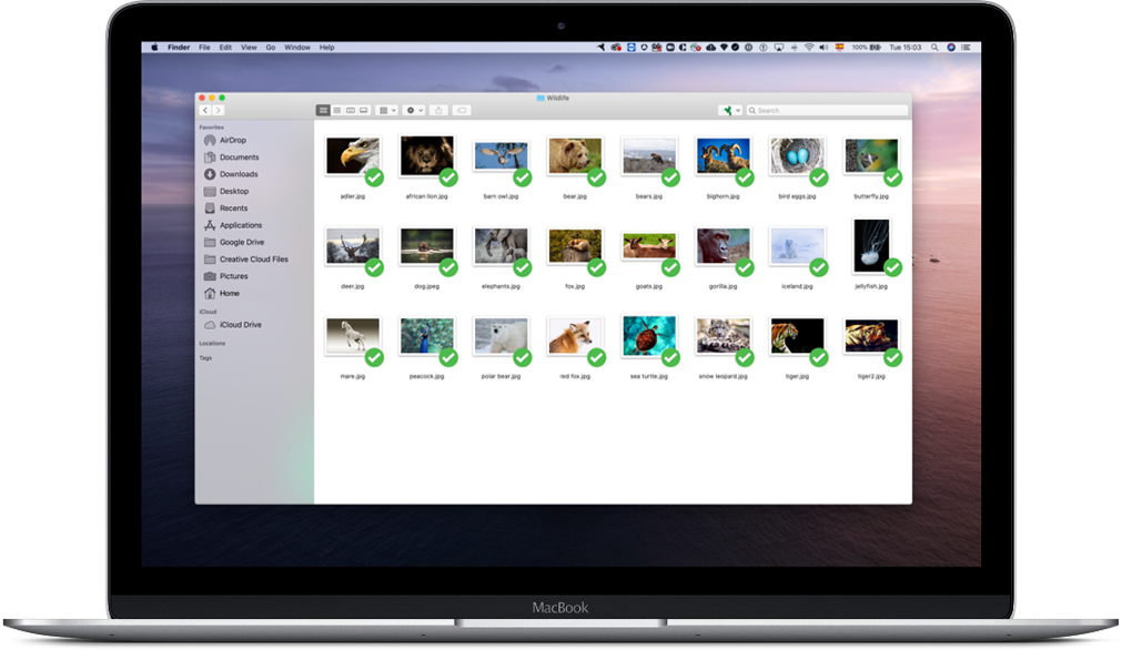 SugarSync Reviews, Cost & Features GetApp Australia 2024