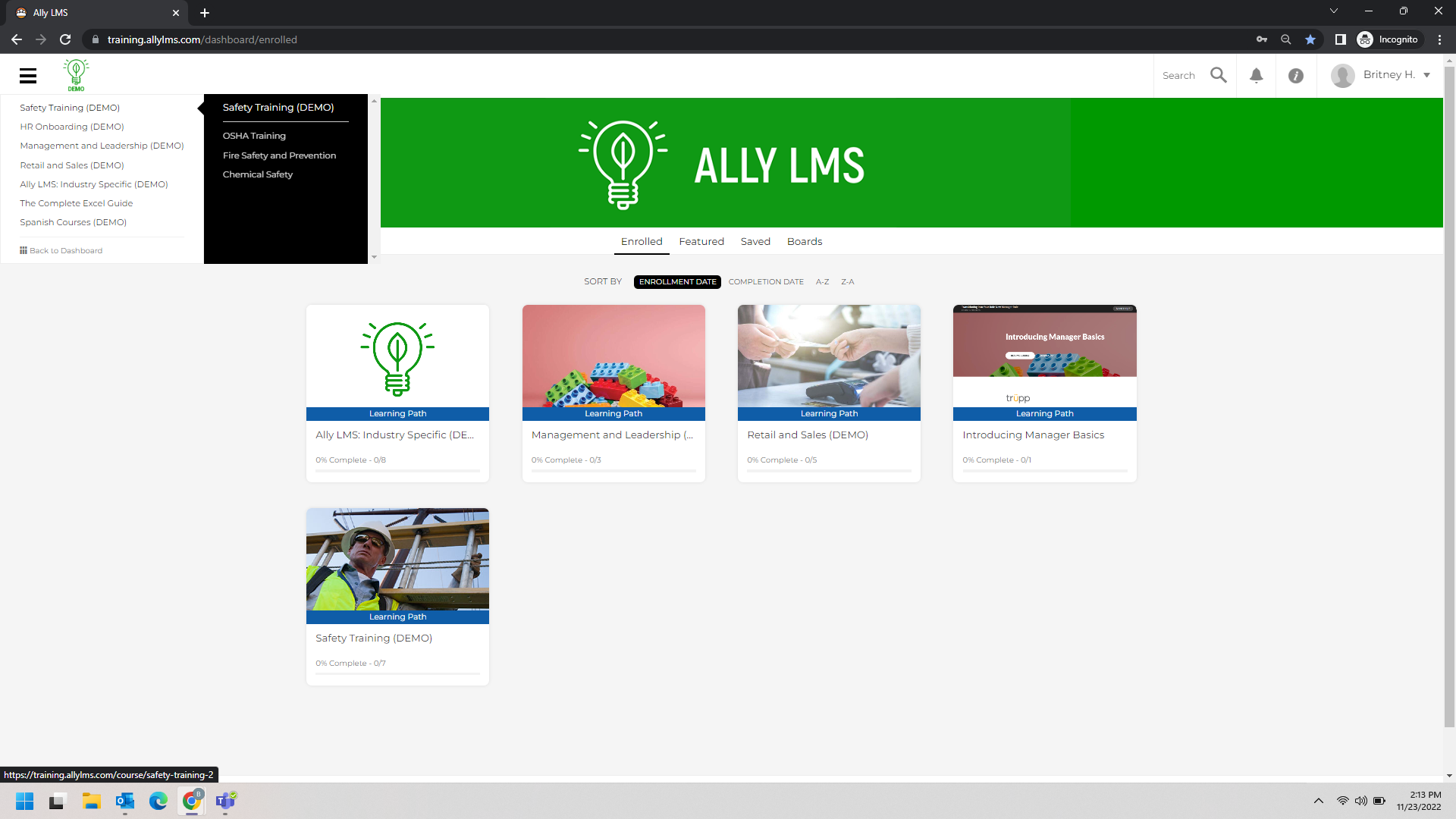 Ally LMS screenshot: Ally LMS Interface and Navigation