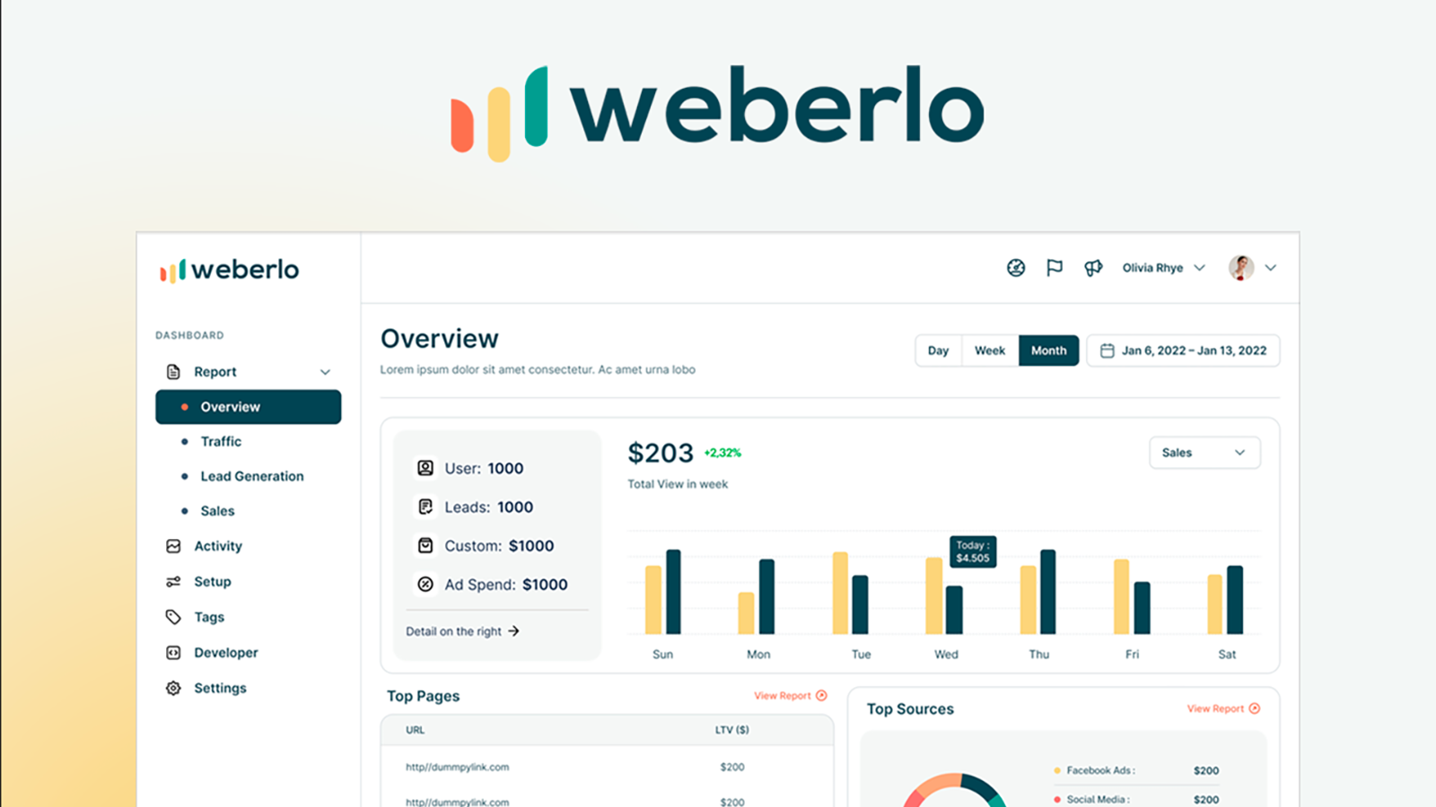 Weberlo screenshot: A single source of truth for all your marketing efforts