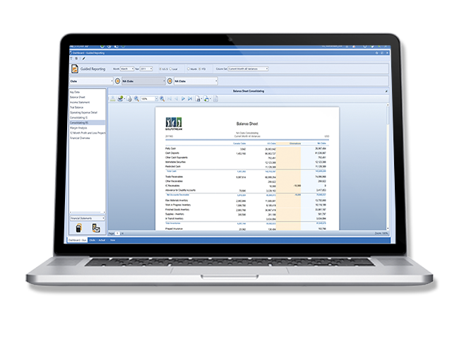 OneStream Software - Generate and export financial reports