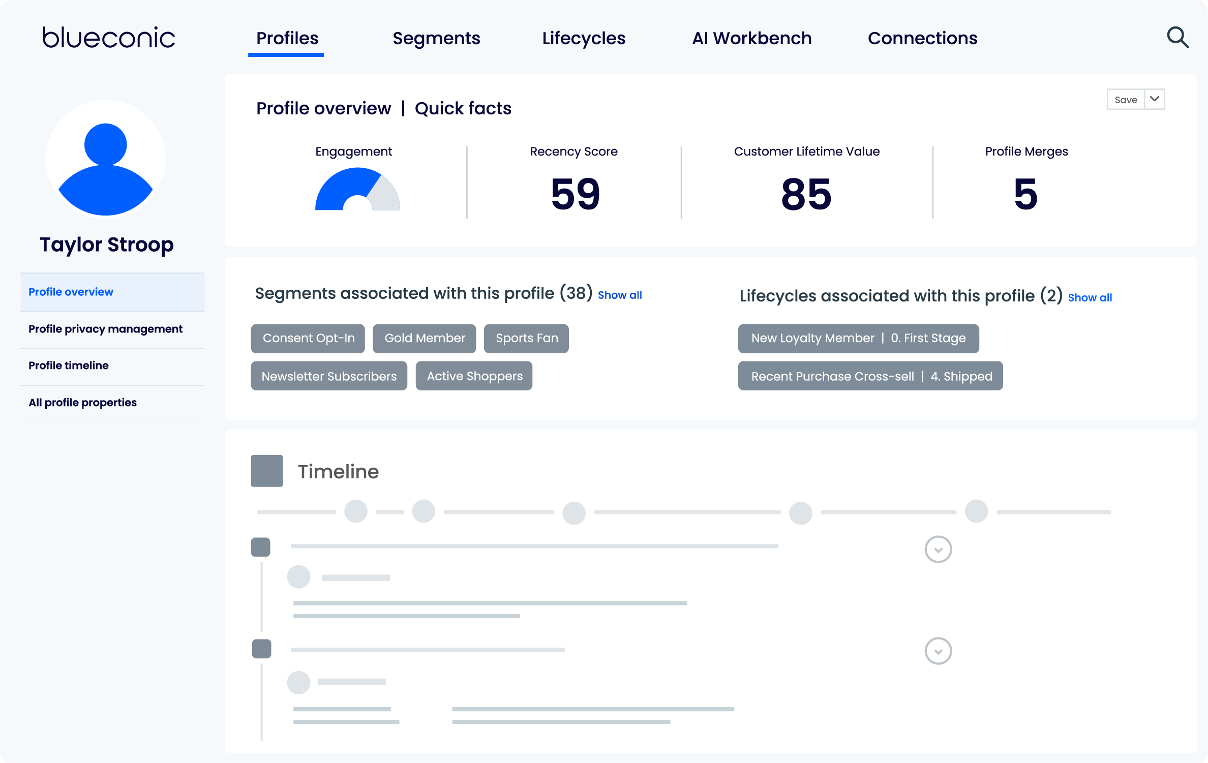 BlueConic Software - Profile Overview