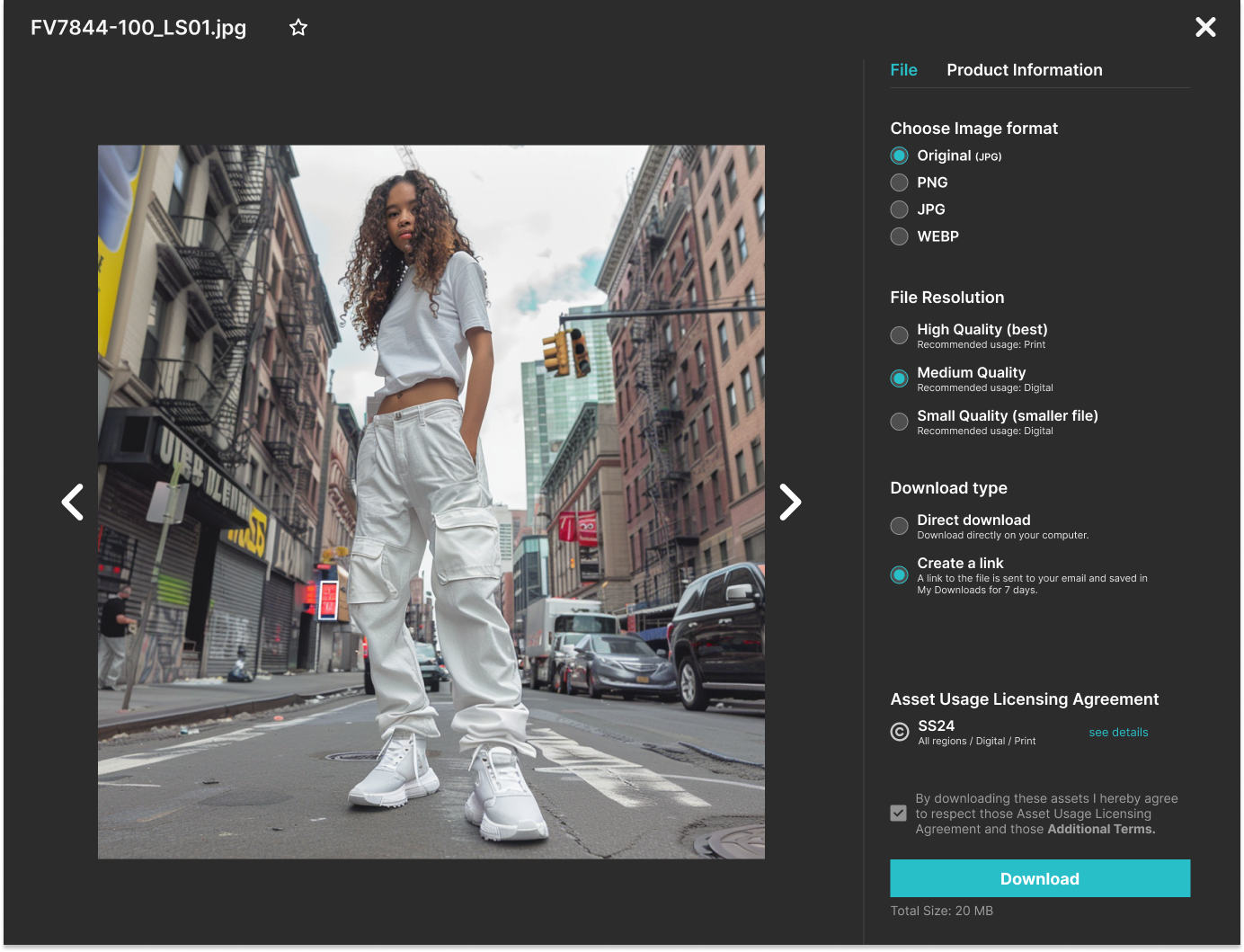 DAMVIA Software - DAMVIA download image