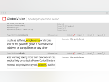 GlobalVision Software - Spelling inspection report