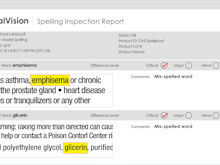 GlobalVision Software - Spelling inspection report