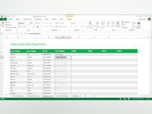 Microsoft Excel Software - 1