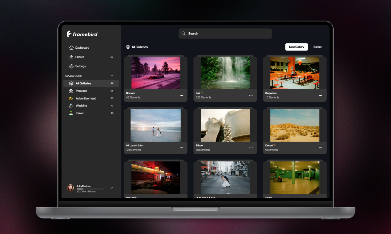 Framebird screenshot