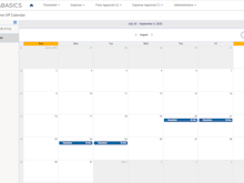 DATABASICS Time & Expense Software - Track employee time off with our calendar view.