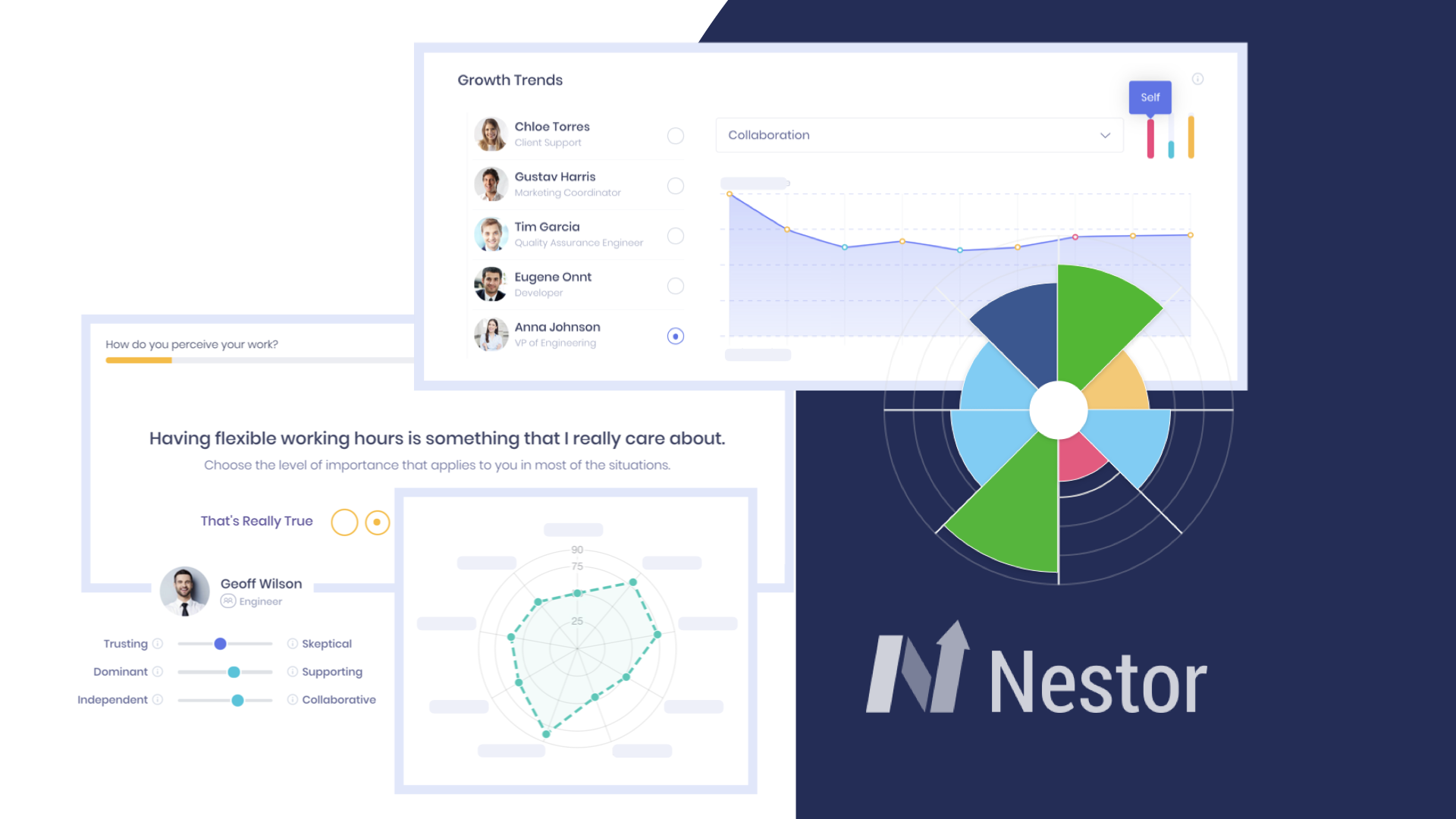Nestor Software - 3