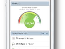 NetSuite Software - Optimized for mobile viewing