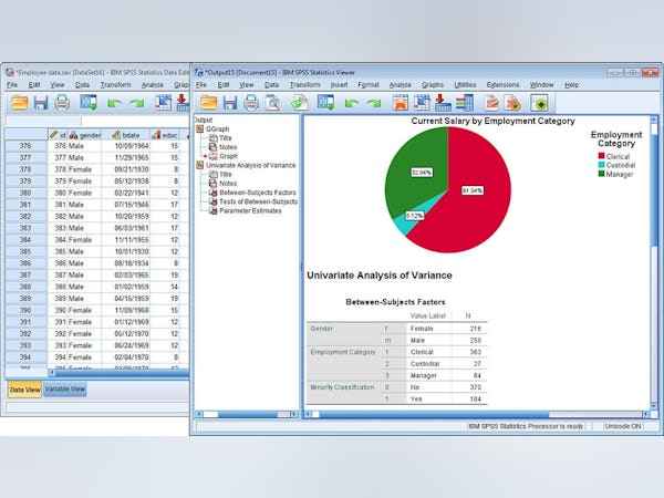 IBM SPSS Statistics Software - 3