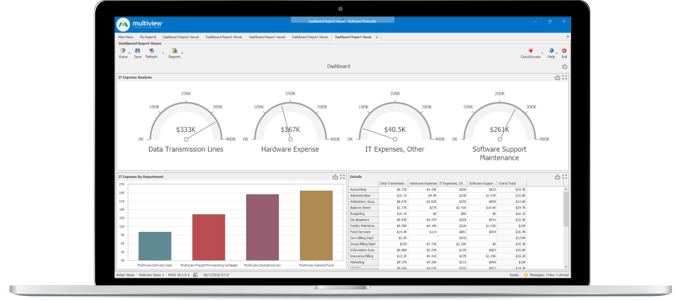 Multiview ERP Software - Expense Reports