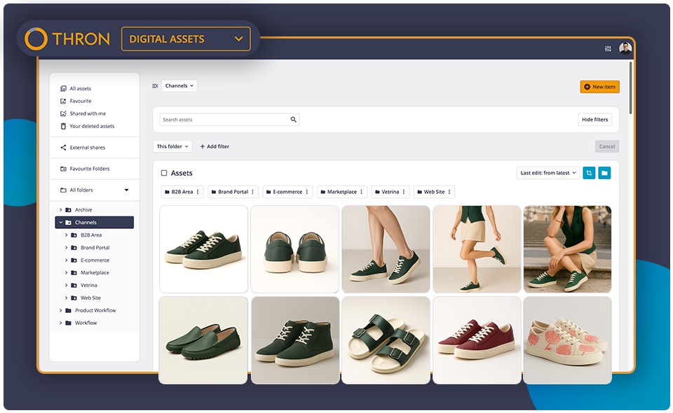 THRON screenshot: Digital assets