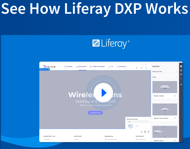 Liferay DXP screenshot