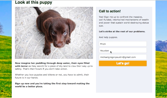 Engaging Networks Software - Create campaign pages with calls to action