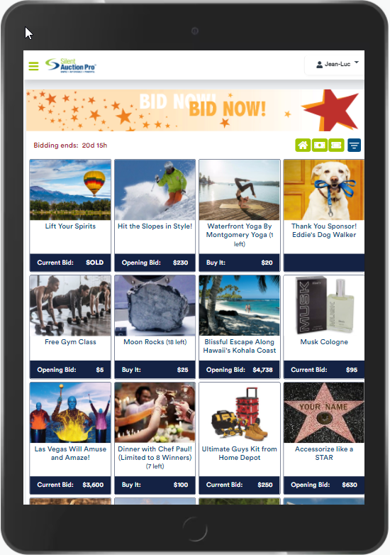 Silent Auction Pro Software 2024 Reviews, Pricing & Demo