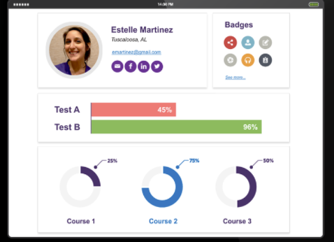 Design interactive course content