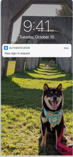 Microsoft Authenticator sign-in request