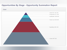 Zurmo Software - pyramid_chart