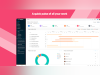 Zoho Projects Software - Portfolio dashboard